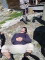 Fourcat_TER_2009 022
